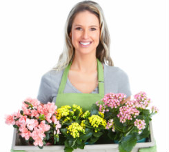 Term Business Loans